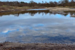 Landschap Waterbos