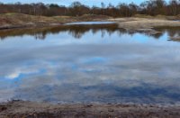 Landschap Waterbos, Waterbos, Landschap Waterbos