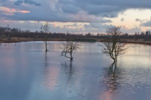 Landschap foto in avonduren