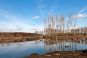 Rust plaats van trek vogels