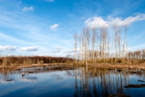 Rust plaats van trek vogels