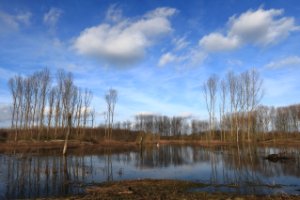 Rust plaats van trek vogels