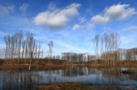 Rust plaats van trek vogels, Midden-Delfland - natuurgebied de Ruigte, Rust plaats van trek vogels