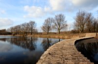 Landschap, Midden-Delfland - natuurgebied de Ruigte, Landschap