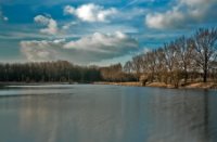 Landschap, Midden-Delfland - natuurgebied de Ruigte, Landschap