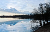 Landschap, Midden-Delfland - natuurgebied de Ruigte, Landschap