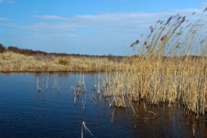 Landschap