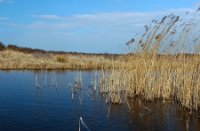 Landschap, Duinen van Goeree, Landschap