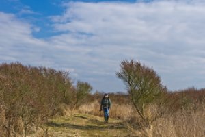 Landschap