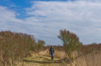 Landschap, Duinen van Goeree, Landschap