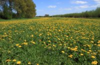 He He eindelijk zijn in lengte, Landgoed Mariënwaerdt, landschap