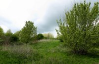 Landschap, Midden Delfland Broekpolder, Landschap