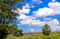 landschap, De Gooi (westerheide), landschap