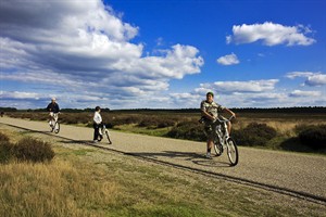 Landschap van Hoge Veluwe - Sina, Atilla, Rifat