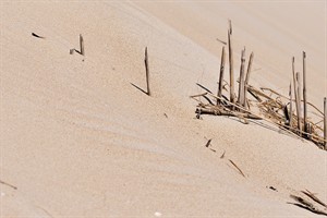 Duinen - De Slufter - Texel