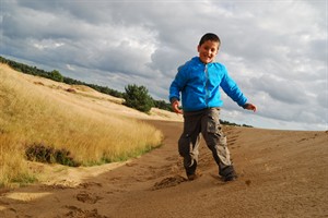 Hoge Veluwe