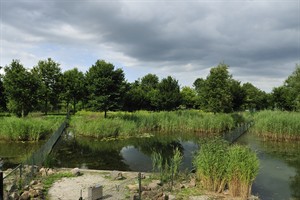 Natuurpark Lelystad