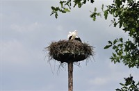 Natuurpark Lelystad