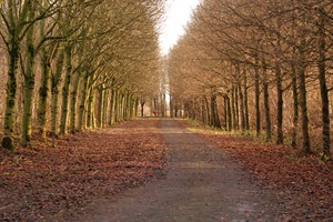 Natuurpark Lelystad in de winter