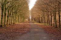 Natuurpark Lelystad in de winter