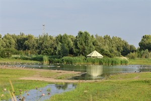 Oostvaardersplassen