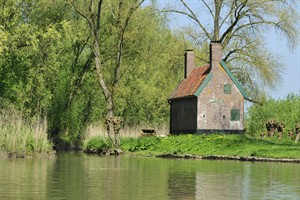 Biesbosch