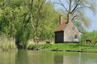 Biesbosch, Nationaal Park De Biesbosch