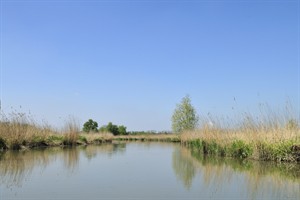 Biesbosch