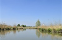 Biesbosch, Nationaal Park De Biesbosch