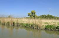 Biesbosch, Nationaal Park De Biesbosch