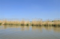 Biesbosch, Nationaal Park De Biesbosch