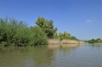 Biesbosch, Nationaal Park De Biesbosch