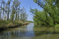 Biesbosch, Nationaal Park De Biesbosch