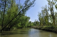 Biesbosch, Nationaal Park De Biesbosch