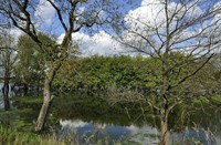 Biesbosch, Biesbosch