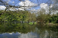 Biesbosch