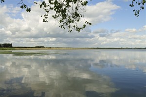 Biesbosch