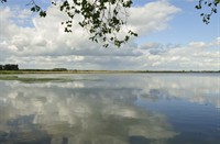 Biesbosch