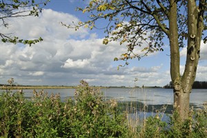 Biesbosch