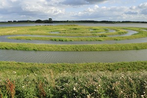 Biesbosch