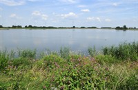 Biesbosch