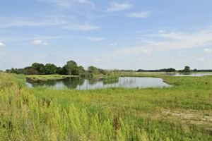 Biesbosch