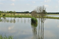 Biesbosch