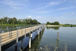 Biesbosch