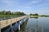 Biesbosch