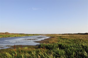 Bollekamer - Texel