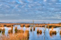 Fochteloërveen, Fochteloërveen