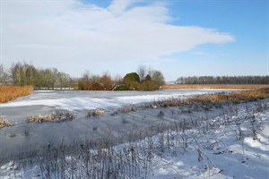 Biesbosch