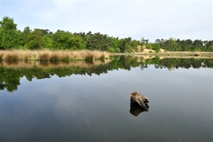 Ravennen - Limburg