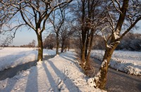 Loetbos, Natuurgebied Loetbos, Mazhar Uzun